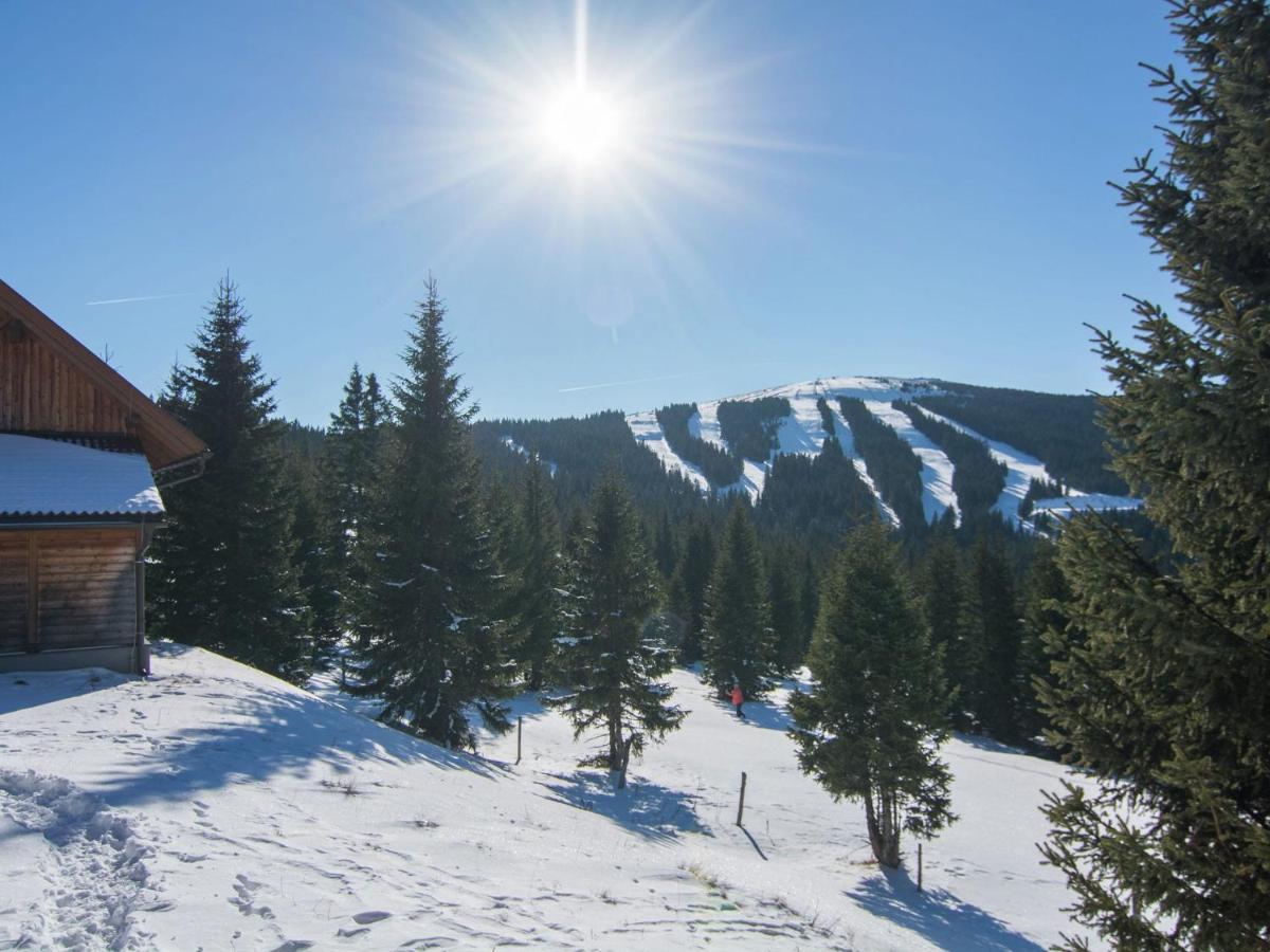 Beautiful Holiday Home In Weinebene With SaunaObergösel エクステリア 写真